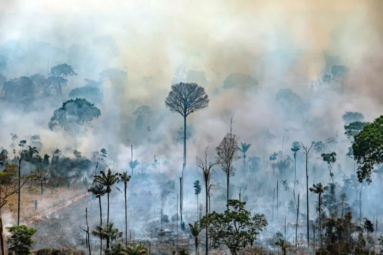 Mudanças Climáticas